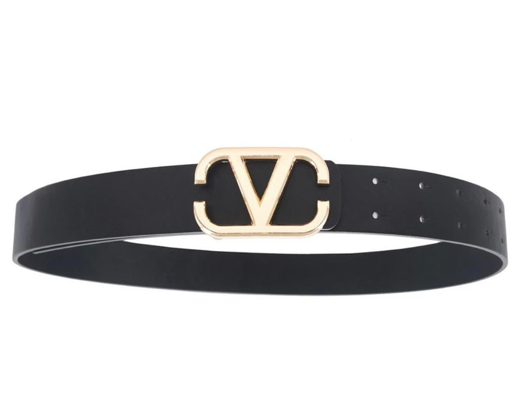 V Belt